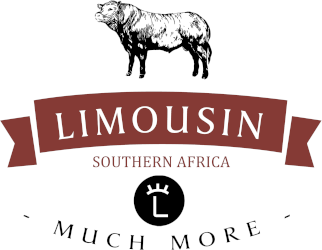 Limousin Southern Africa